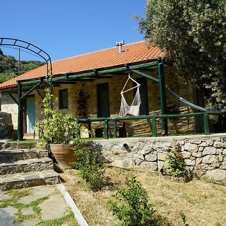 Elpida Country House -Paleochora-Anidri Extérieur photo