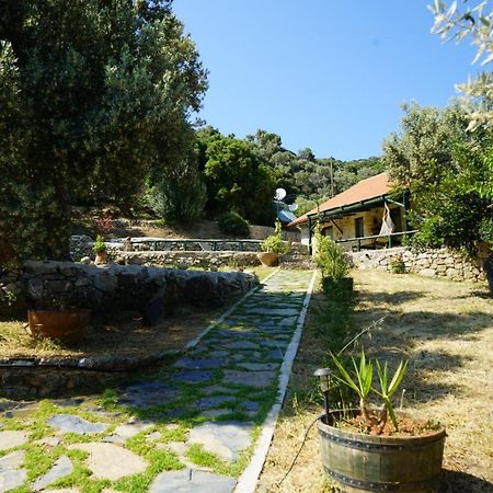 Elpida Country House -Paleochora-Anidri Extérieur photo
